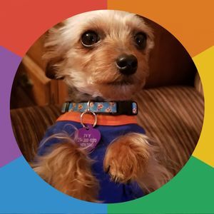 Meet your Posher, Torianne